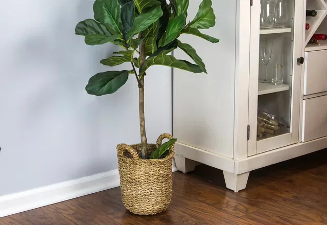 Covetable Botanicals