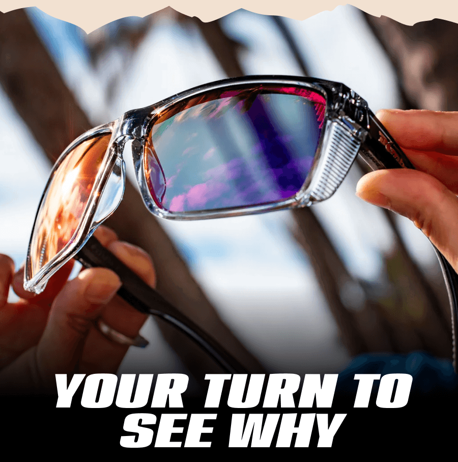Your Turn To See Why