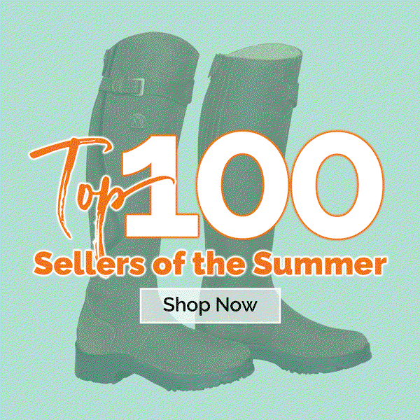 The Top 100 Sellers of the Summer