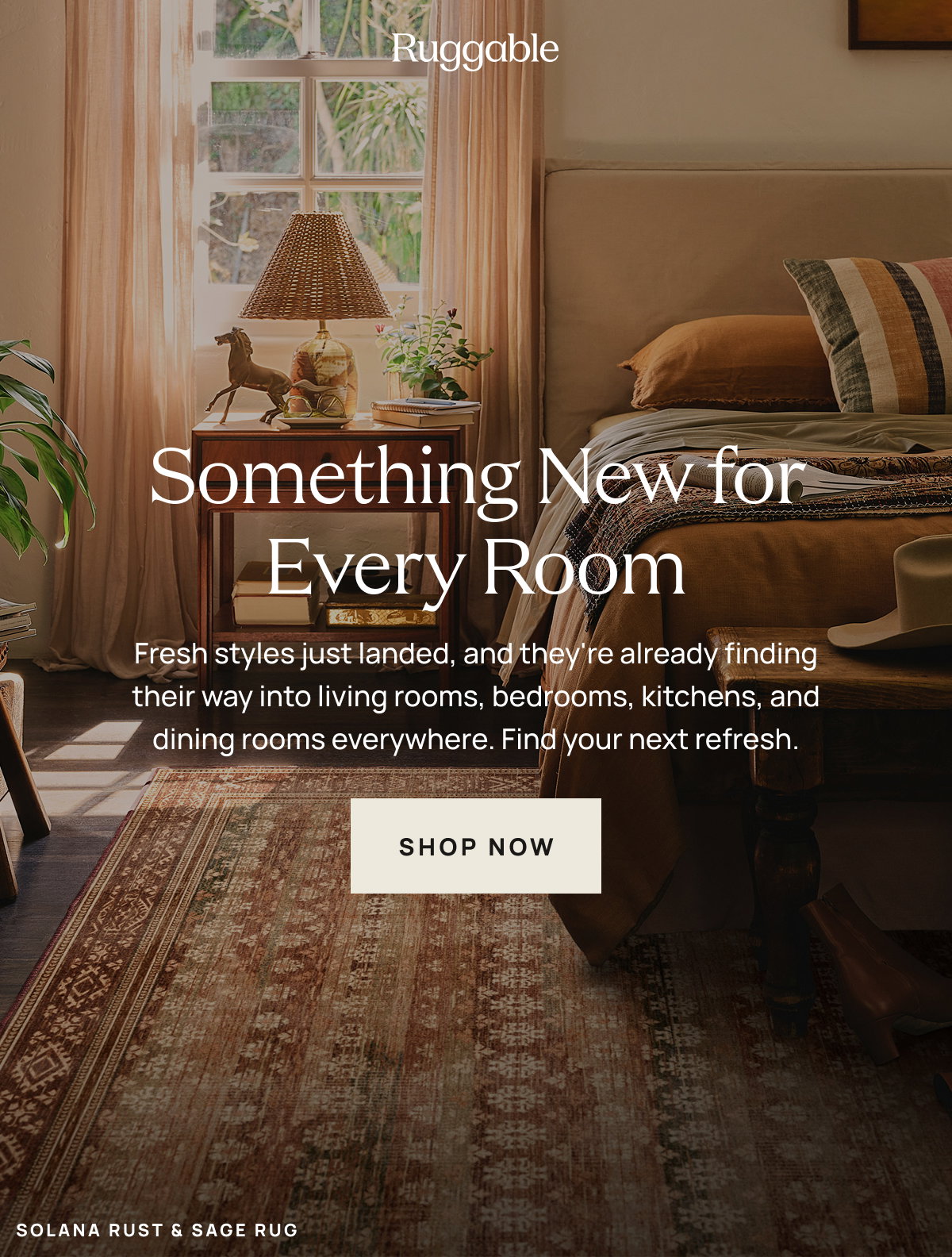 Something New for Every Room | Shop Now 