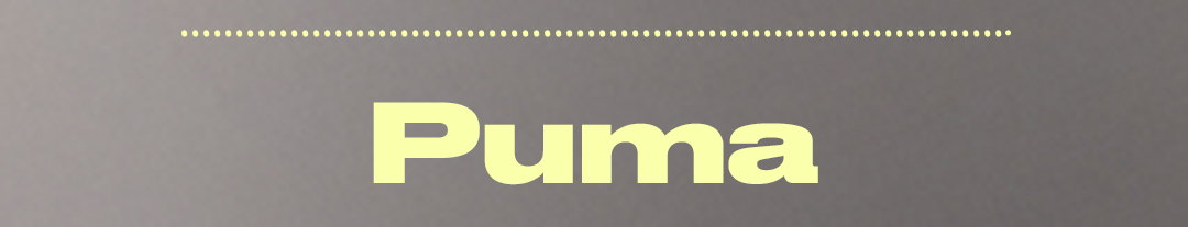 PUMA Image 