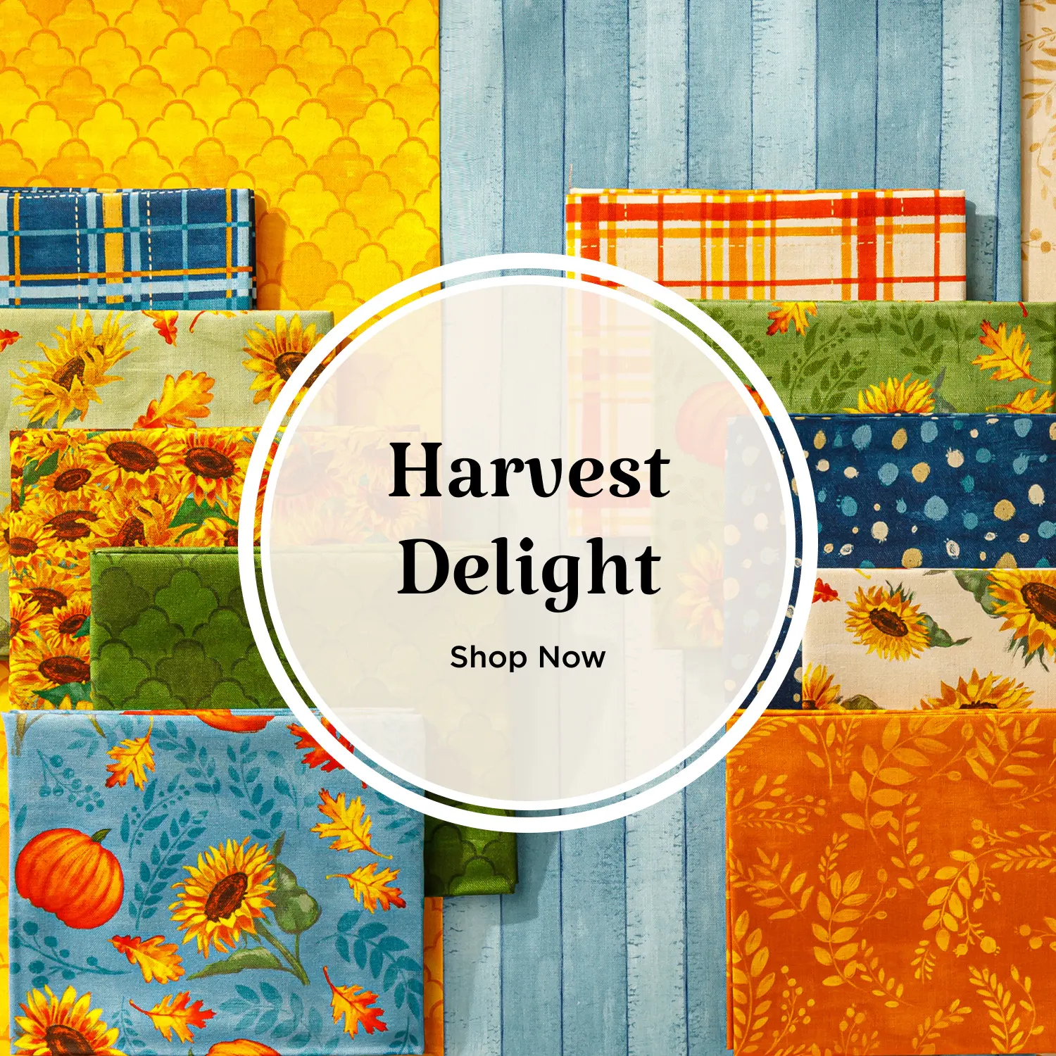 Harvest Delight. Shop now.