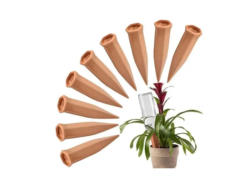 Amazon lifestyle image