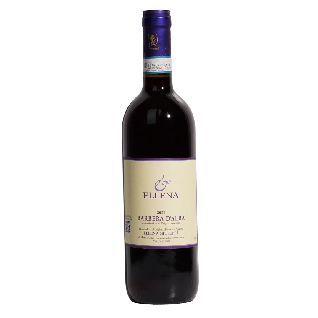 Image of Barbera d'Alba  2024
