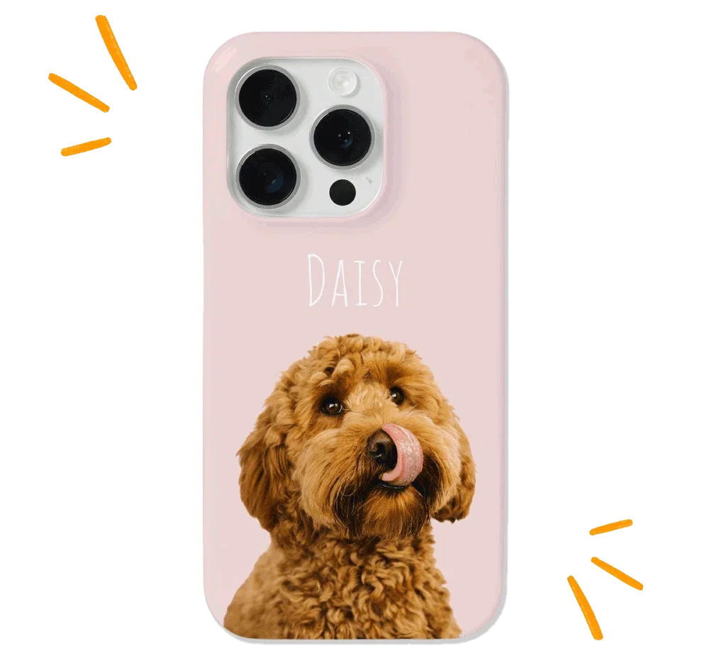 A phone case