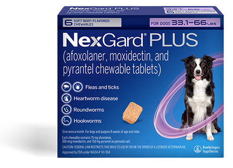 NexGard PLUS Chewable Tablets for Dogs.
