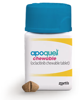 Apoquel Chewable Tablets for Dogs.