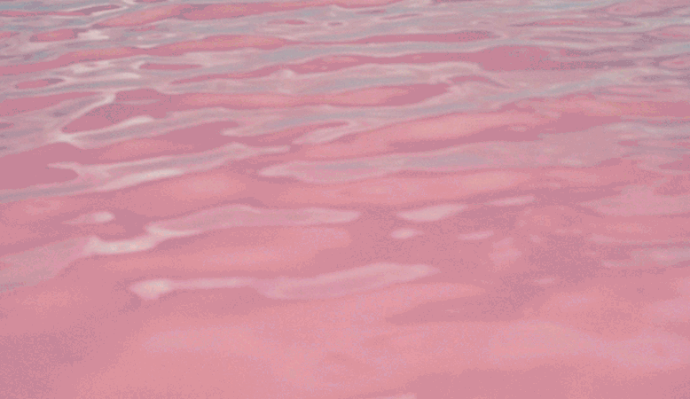 Shimmering ripples of pink water.