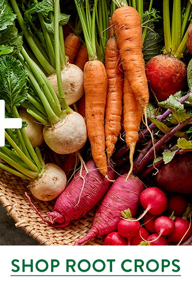 Root Crops