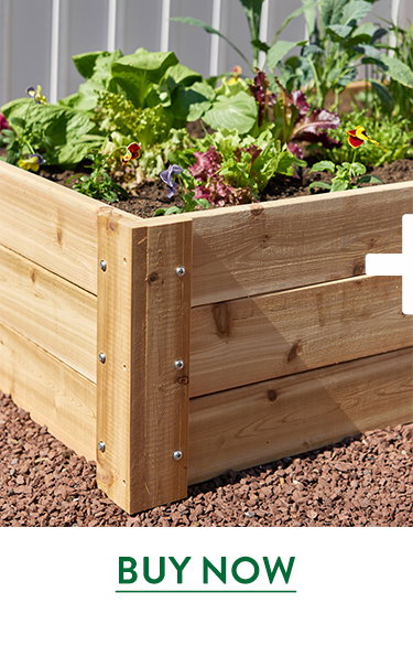 Deep Cedar Raised Bed