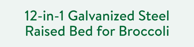 12-in-1 Galvanized Raised Bed
