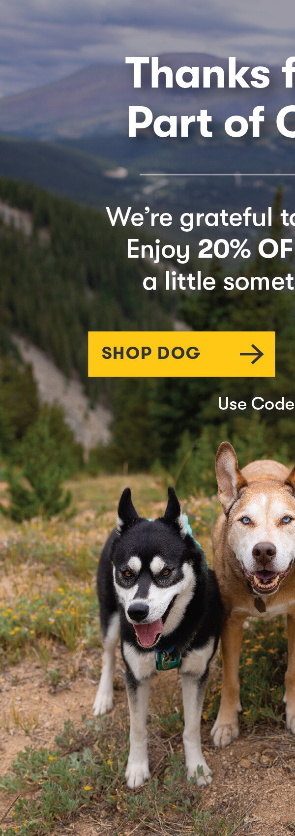 SHOP DOG