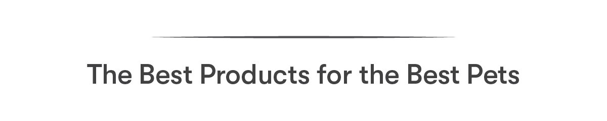 The Best Products for the Best Pets