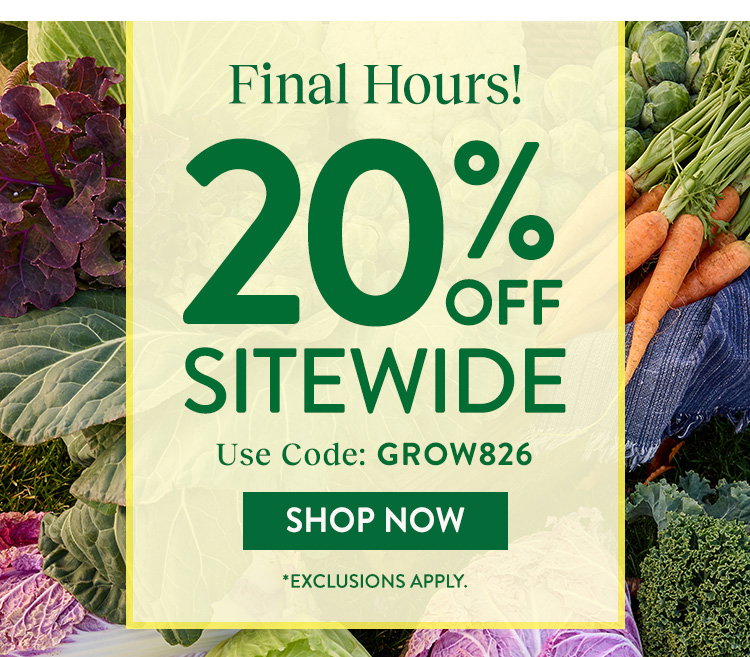 Fall Harvest Vegetables