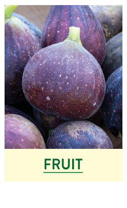 Fruit and Berry Plants