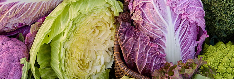 Fall Harvest Vegetables