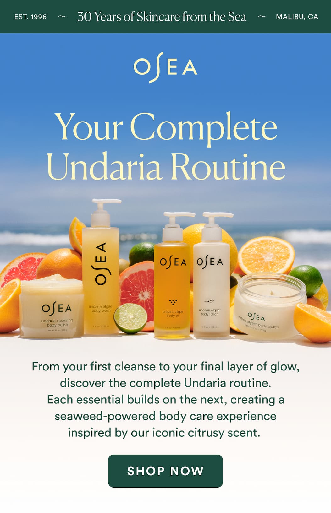 From your first cleanse to your final layer of fragrance, discover the complete Undaria routine. Each essential builds on the next, creating a seaweed-powered body care experience inspired by our iconic citrusy scent. 