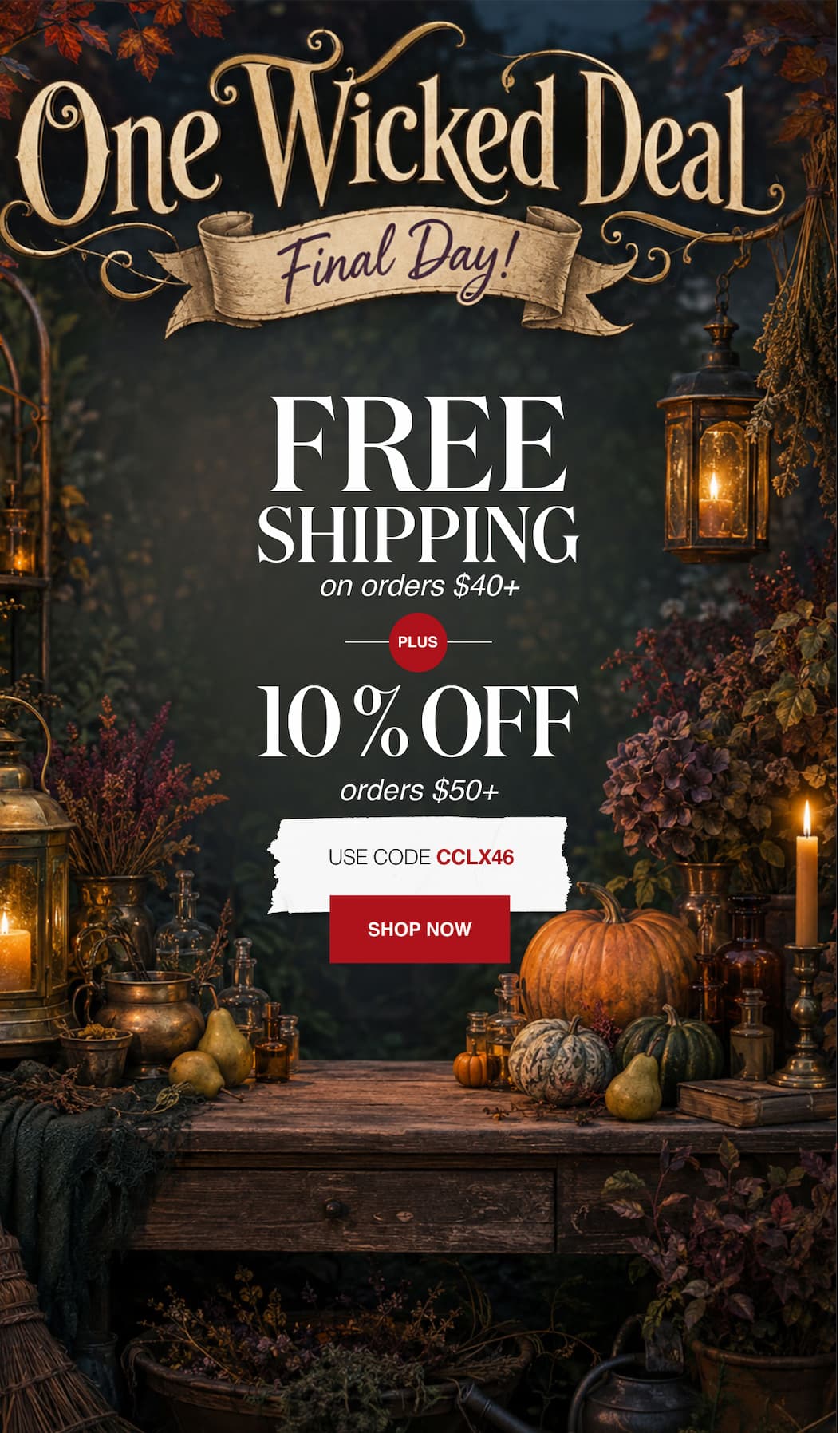 One Wicked Deal Free Shipping on orders $50+ Plus 15% Off 50+ orders! 