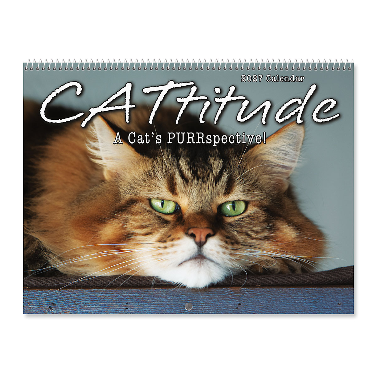 Image of 2027 Cattitude Wall Calendar
