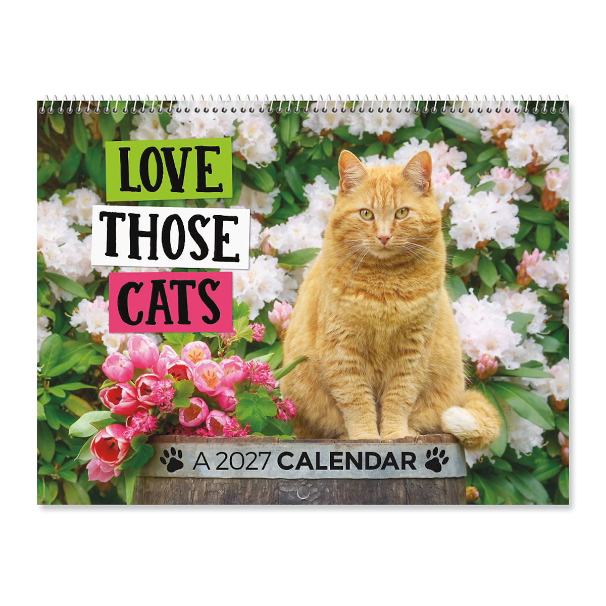 Image of 2027 Love Those Cats Wall Calendar