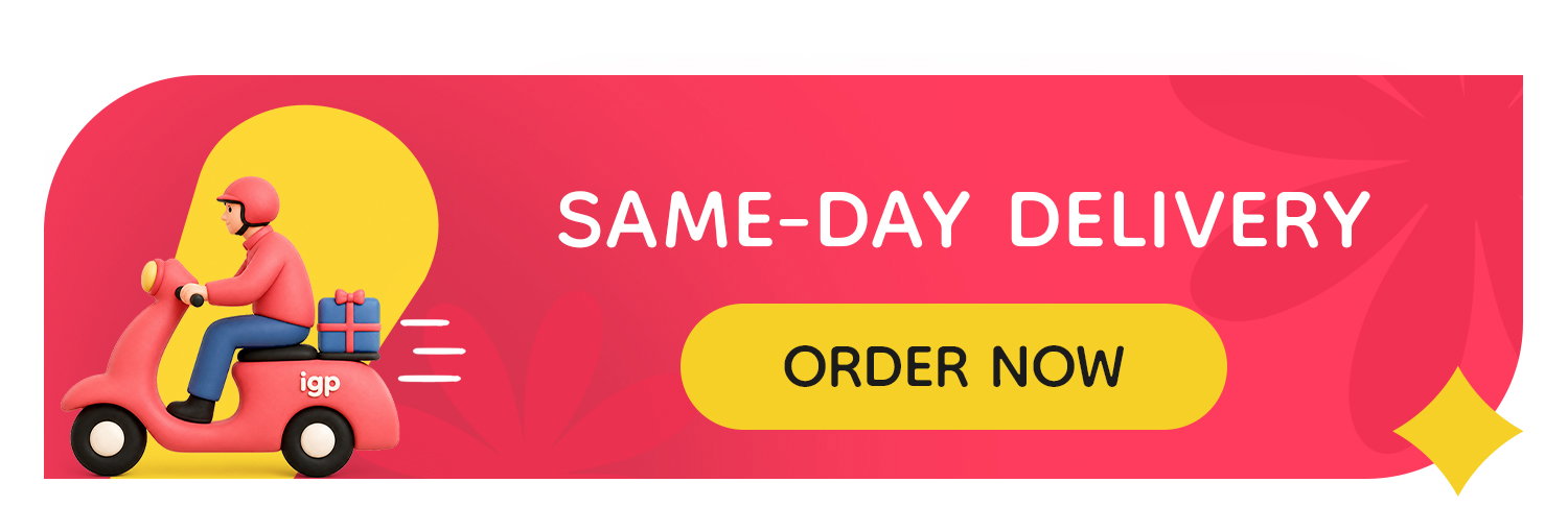 Same Day Delivery