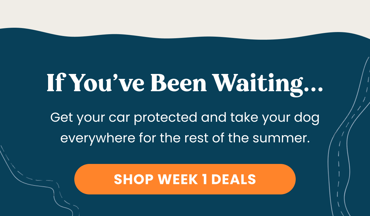 SHOP WEEK 1 DEALS