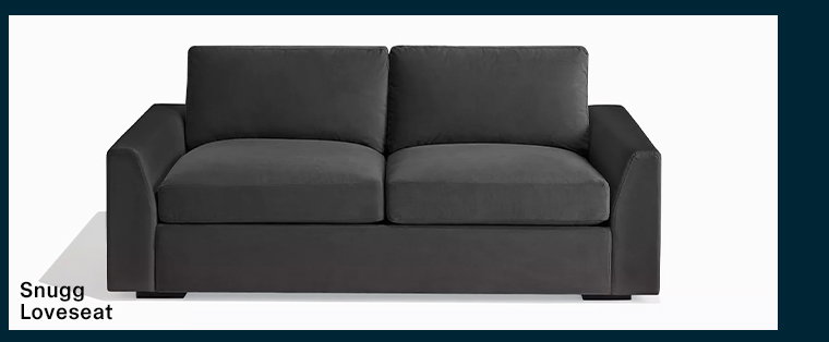 SNUGG LOVESEAT