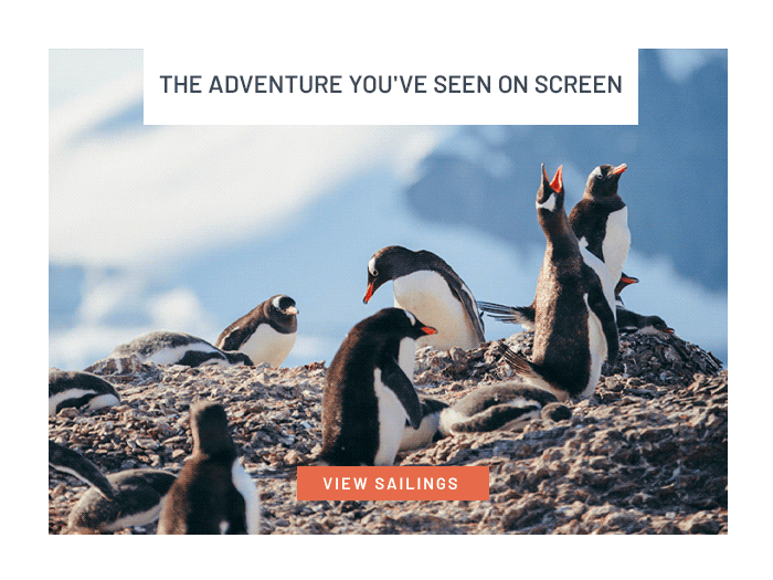 The adventure you've seen on screen