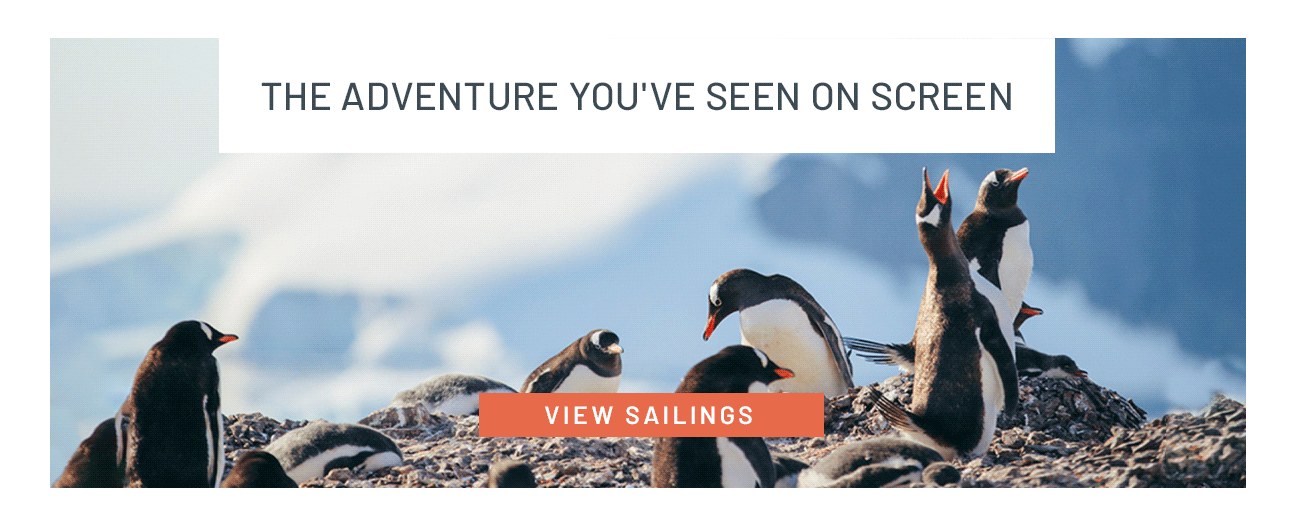 The adventure you've seen on screen