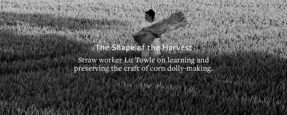 The Shape of the Harvest