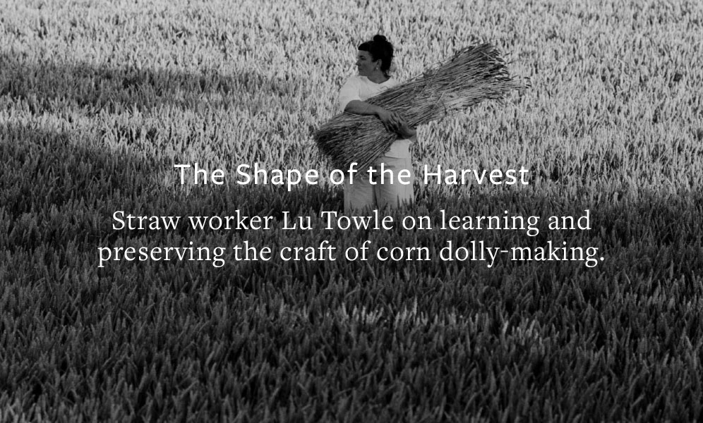 The Shape of the Harvest