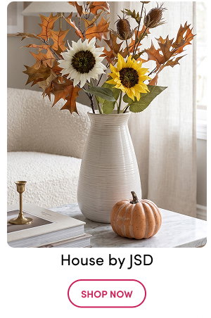 House by JSD