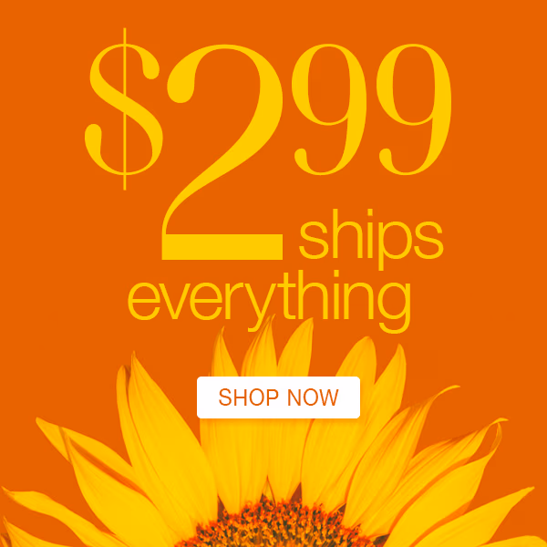 $2.99 Ships Everything