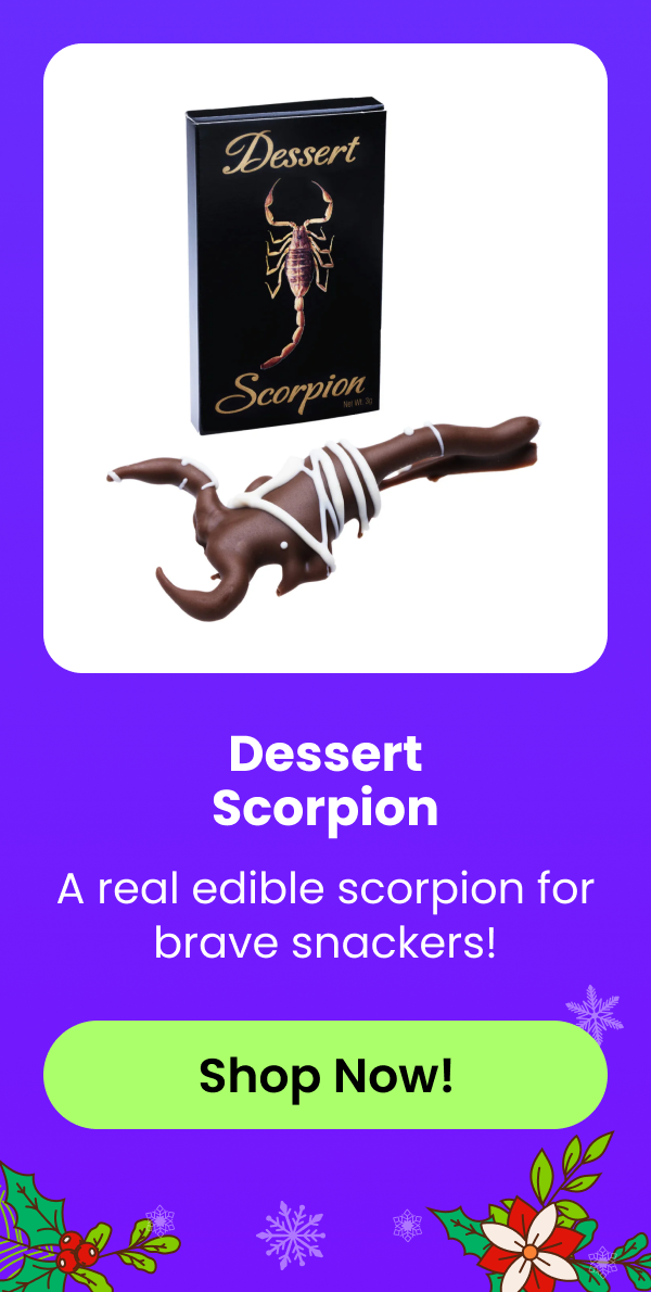 Dessert Scorpion