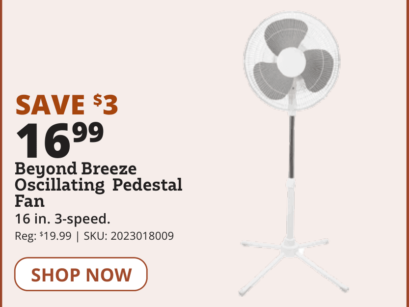 Beyond Breeze Oscillating Pedestal Fan