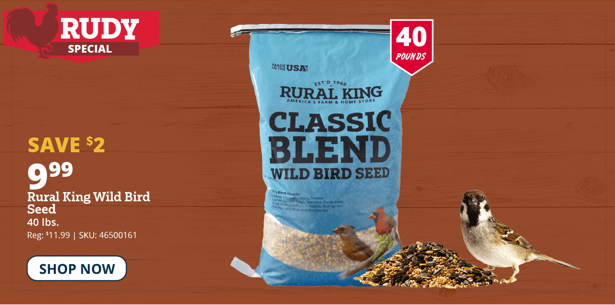 rk rudy bird seed