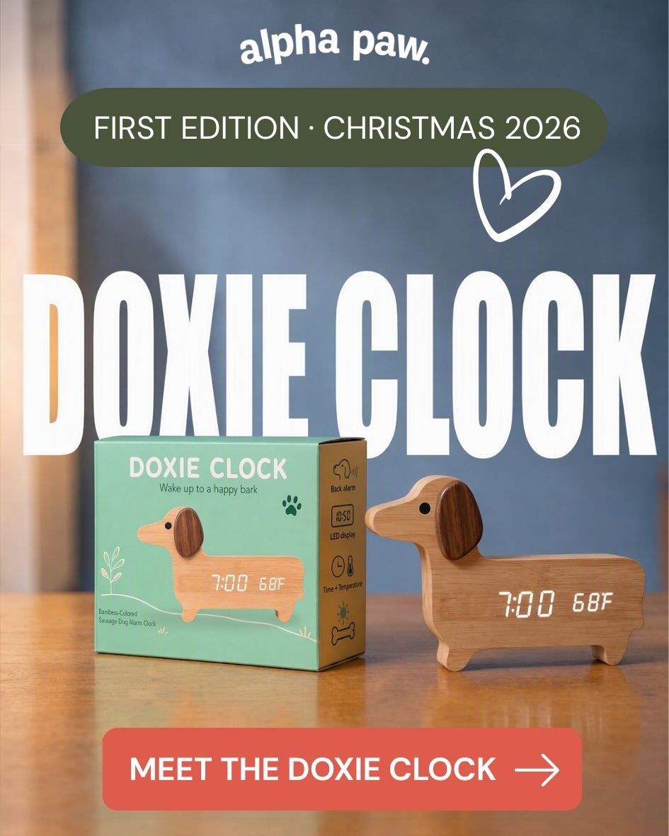 Doxie Clock