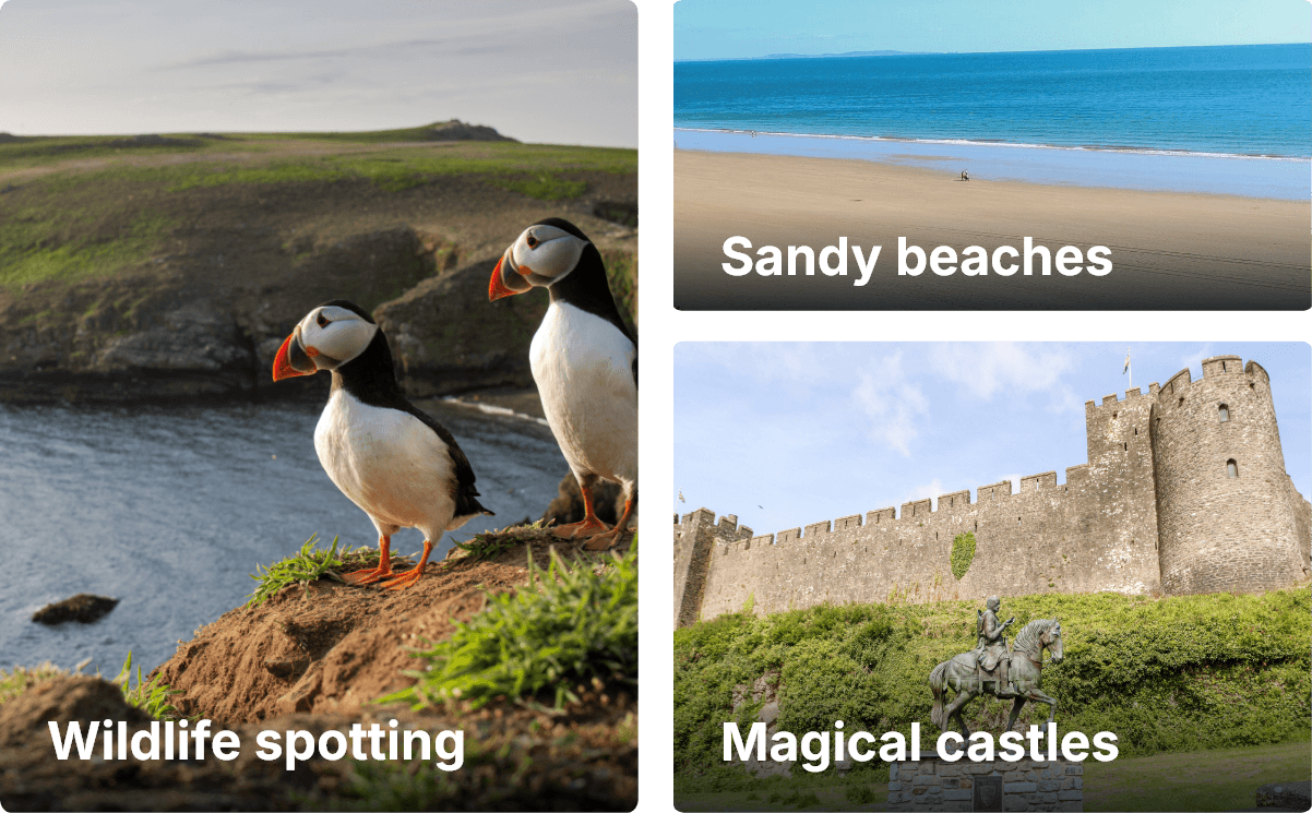 Discover Pembrokeshire