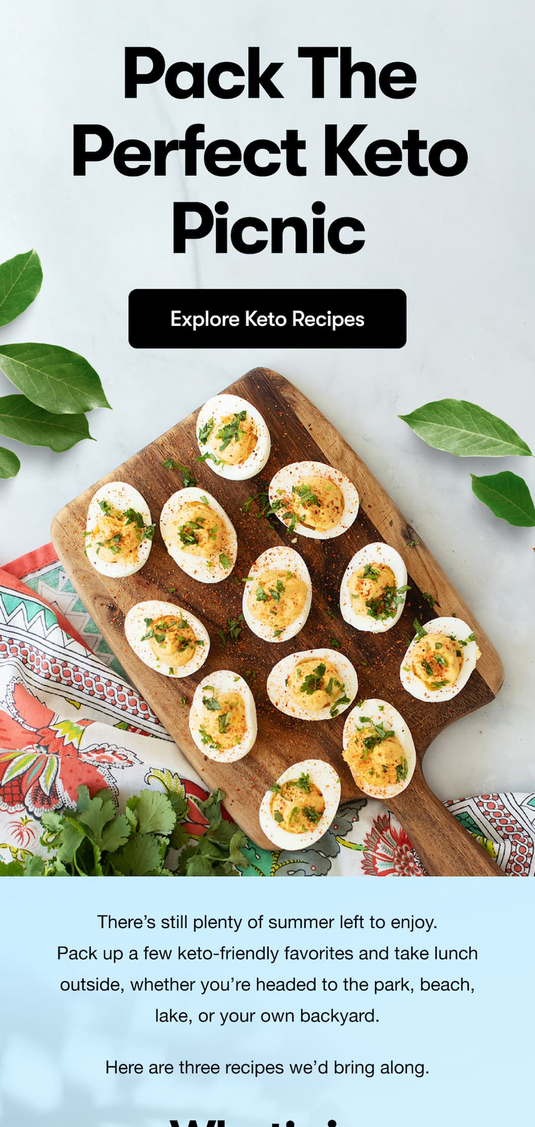 Pack the perfect keto picnic.