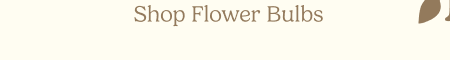 Shop Flower Bulbs