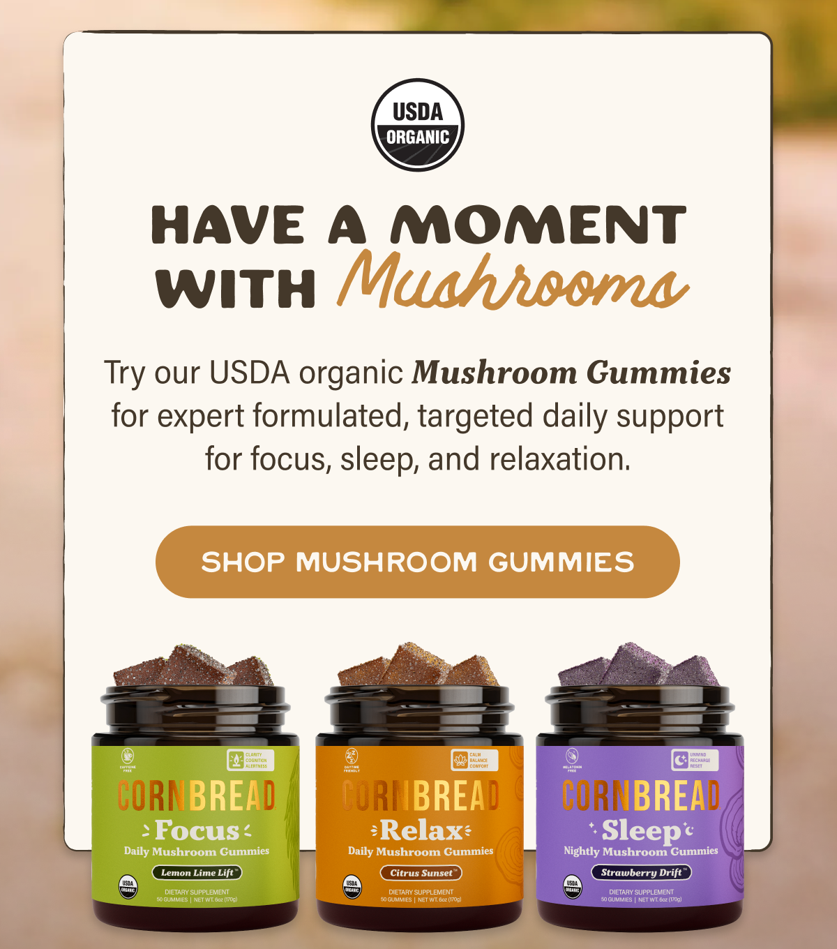 Have a Moment with Mushrooms