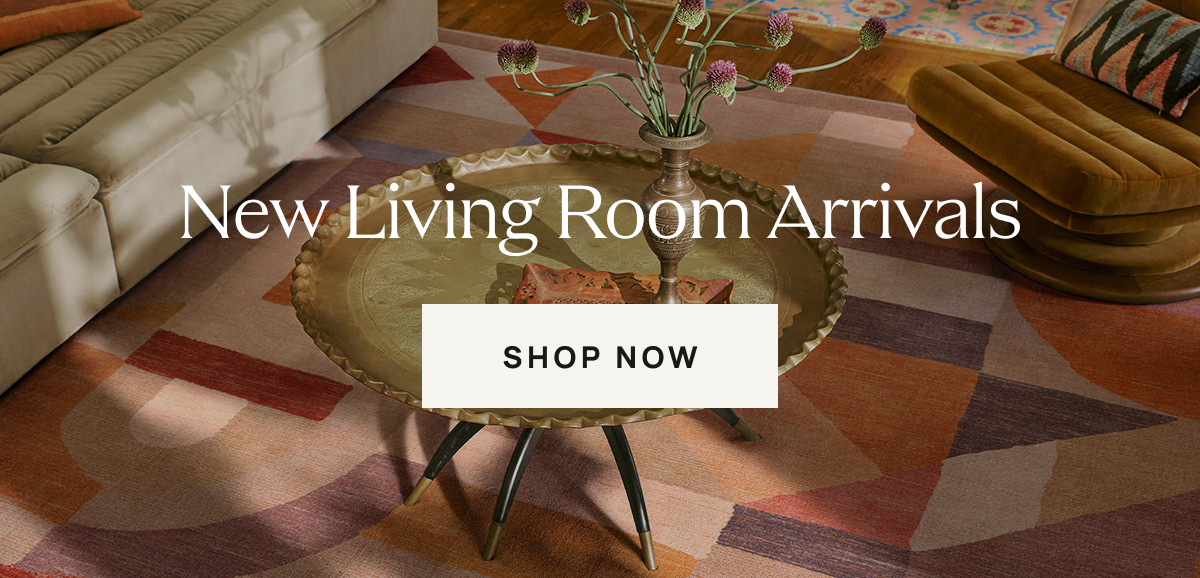 Shop New Living Room Arrivals
