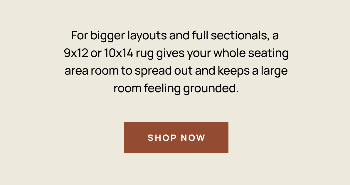 Shop Large Room Rugs