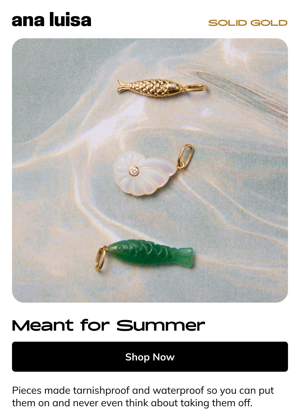 Shop Now Shop Now