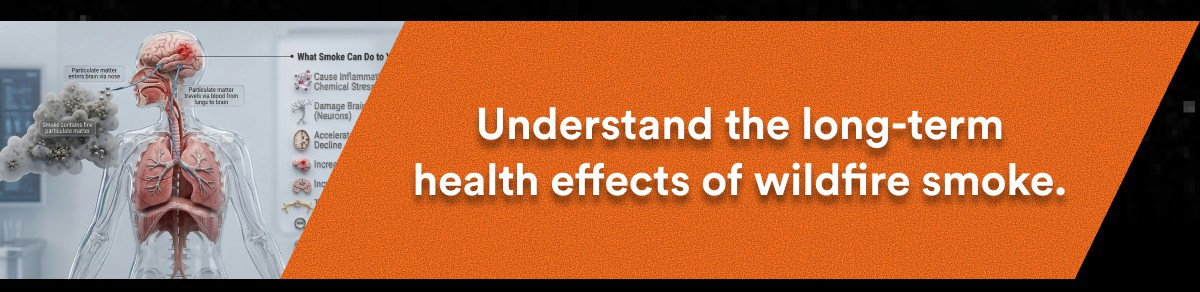 Understand the long-term health effects of wildfire smoke.