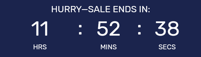 Countdown timer for Night Owl Sale.