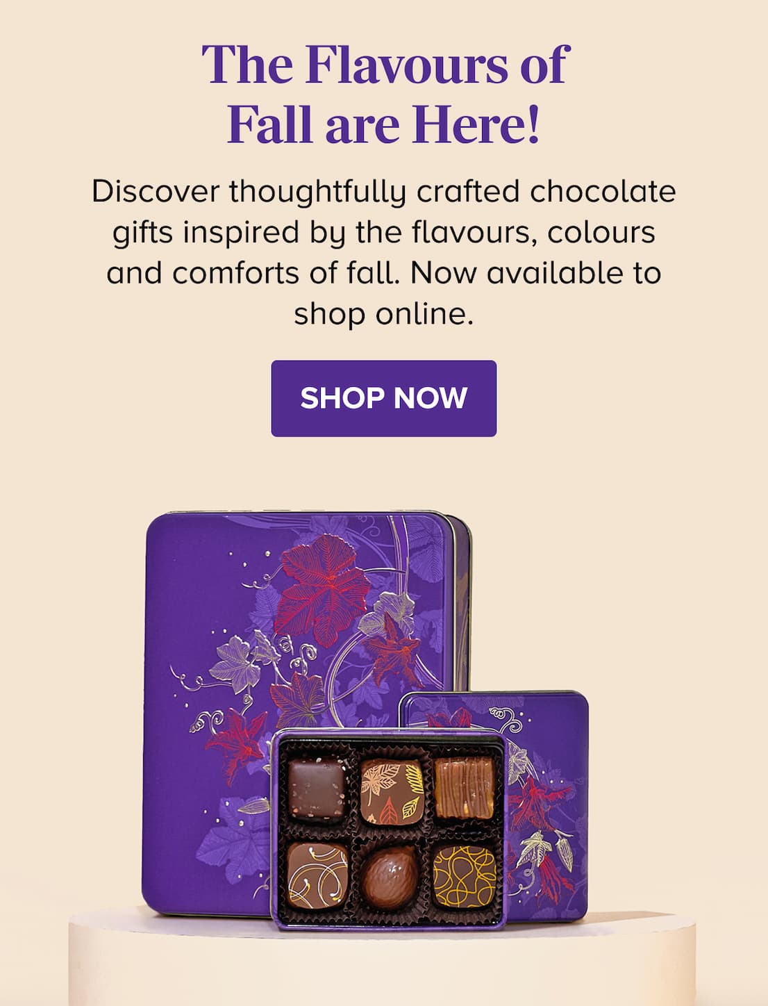 The Flavours of Fall are Here! SHOP FALL COLLECTION