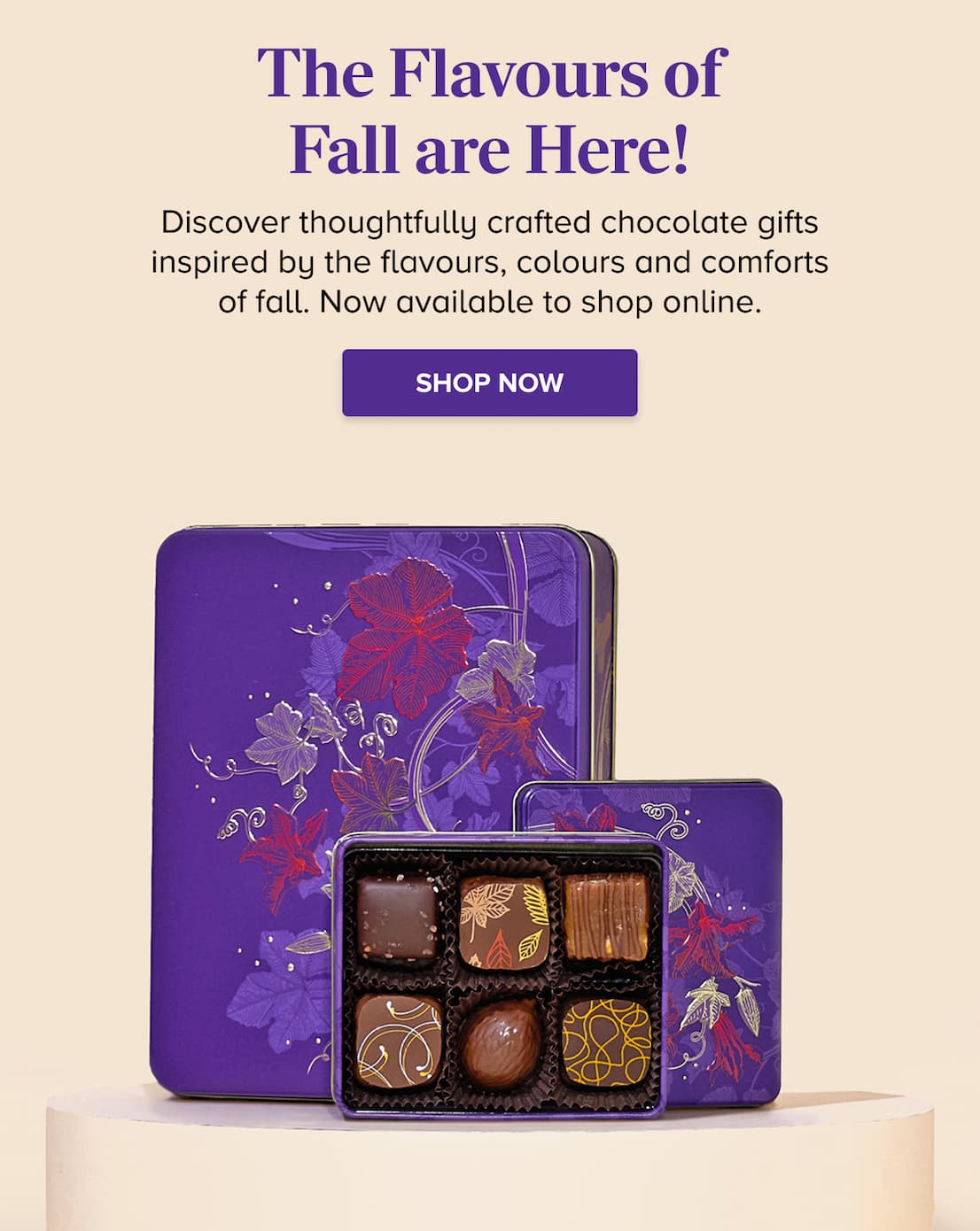 The Flavours of Fall are Here! SHOP FALL COLLECTION
