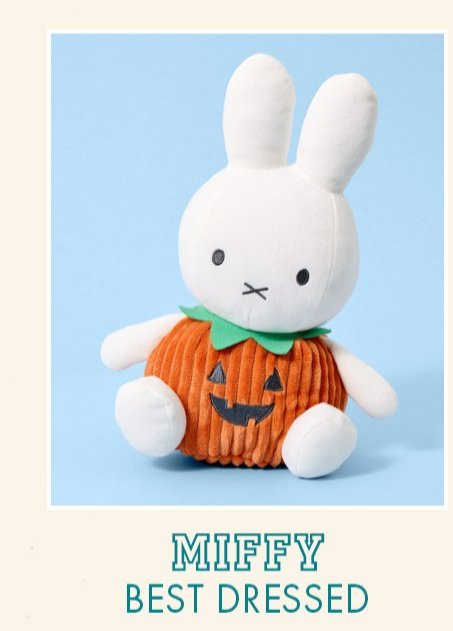 Miffy Halloween Pumpkin Costume 12