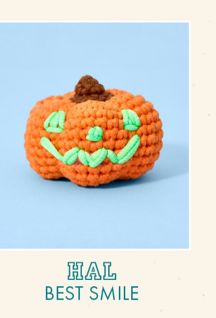 Hal the Jack-o-Lantern Glow in the Dark Learn to Crochet kit